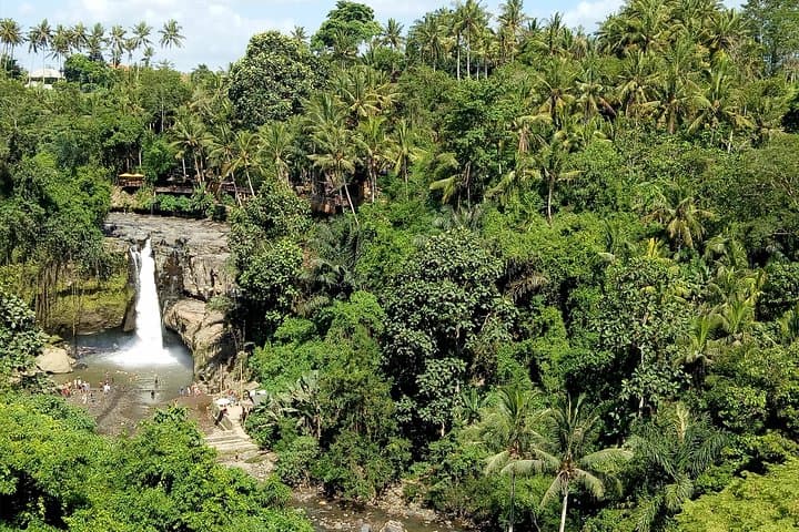 Ubud to Tanah Lot: Private Full-Day Waterfall, Monkey Forest & Sunset Tour photo 4