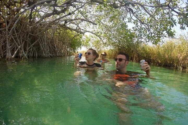 Sian Kaan Muyil Floating Canals: Explore Mayan Freshwater Channels in Sian Ka'an Biosphere