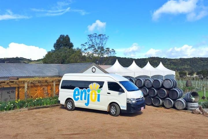Waiheke Island Premium Wine Tour: Tastings, Vineyards & Practical Tips
