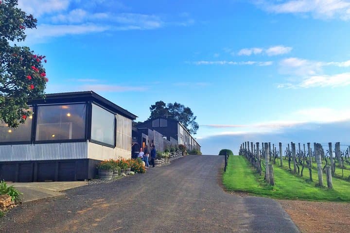 Waiheke Island Premium Wine Tour: Tastings, Vineyards & Practical Tips photo 2