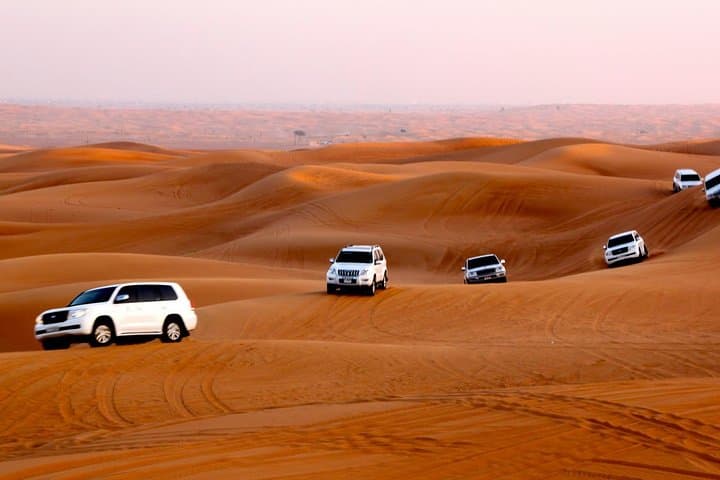 Dubai Desert Safari: Dune Bashing, Camel Ride & BBQ Dinner Experience