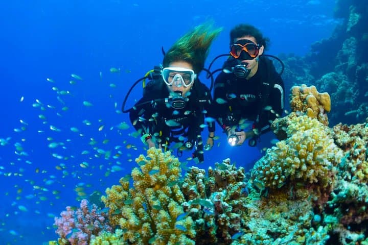 Dive the USS Liberty Wreck: Tulamben Two‑Dive Day Trip from Ubud photo 2