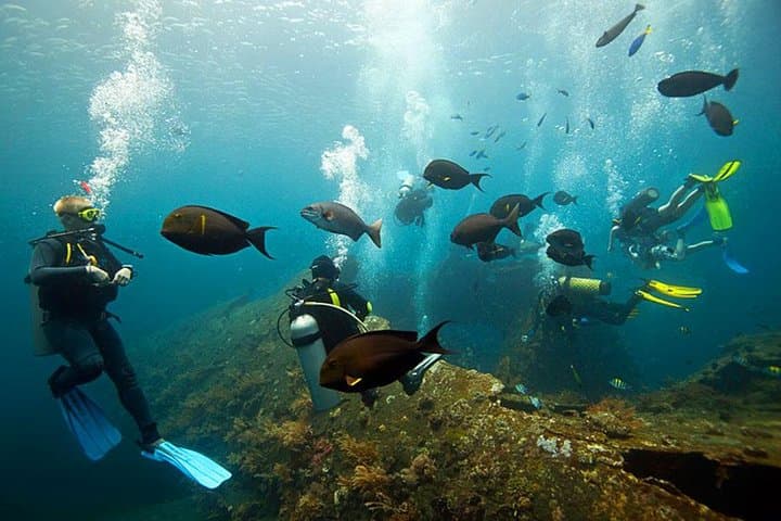 Dive the USS Liberty Wreck: Tulamben Two‑Dive Day Trip from Ubud photo 3