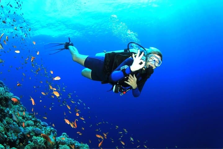 Dive the USS Liberty Wreck: Tulamben Two‑Dive Day Trip from Ubud photo 5