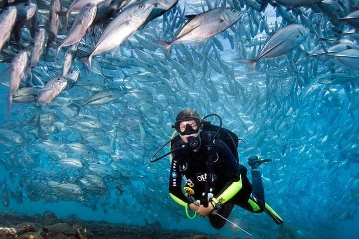 Dive the USS Liberty Wreck: Tulamben Two‑Dive Day Trip from Ubud photo 6