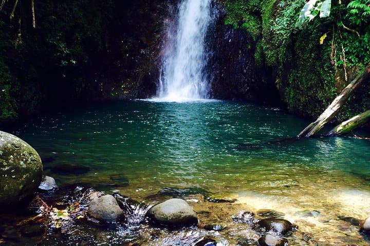 Grand Etang Small-Group Adventure Trek to the Seven Sisters Falls photo 6