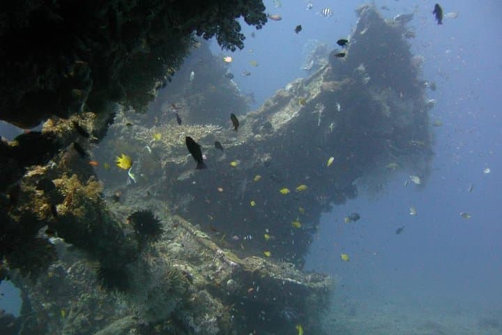Tulamben USAT Liberty: Full-Day 2-Dive PADI Experience from Bali