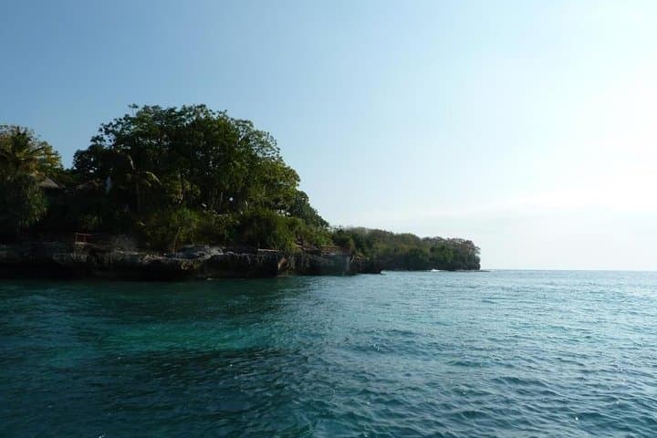 Scuba Diving Nusa Penida & Manta Point: Manta Rays, Drift Dives, and Coral