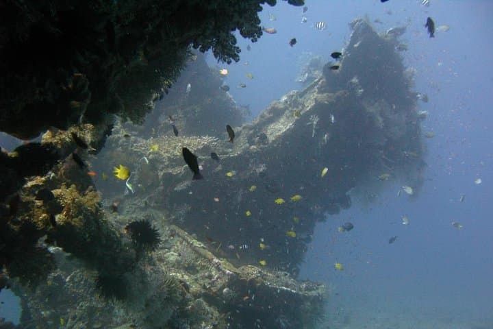 Beginner Scuba Diving in Tulamben: USS Liberty Wreck & Coral Garden photo 4