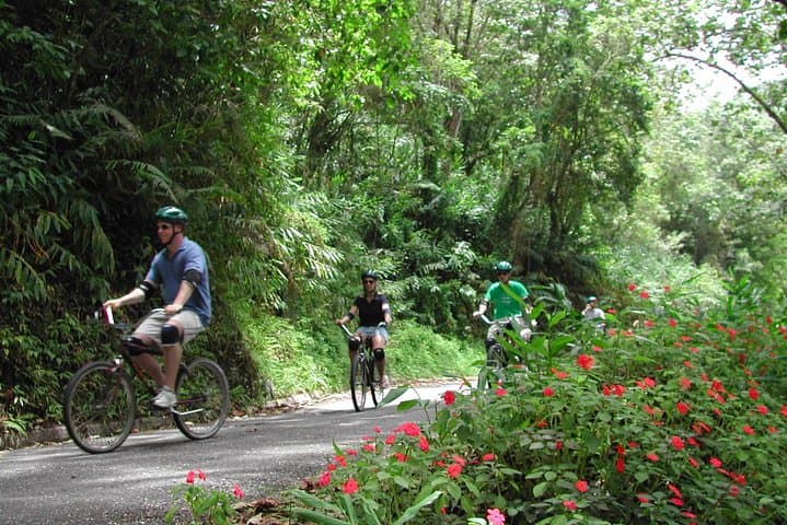 Blue Mountain Bicycle Tour from Falmouth — Downhill Ride Through Coffee Country photo 1