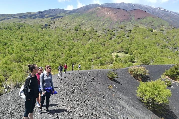 Mount Etna Half-Day Hike from Taormina — Craters, Lava Caves & Tasted Wine