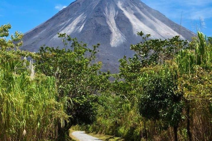 San José to Arenal: 8-Day Costa Rica Highlights & Volcano Adventure photo 5