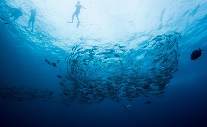 Cabo San Lucas Snorkel, Tequila Tasting & Shopping Tour — El Arco Catamaran Experience photo 4