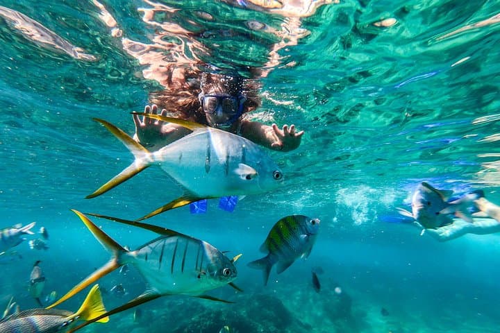 Cabo San Lucas Snorkel, Tequila Tasting & Shopping Tour — El Arco Catamaran Experience photo 3