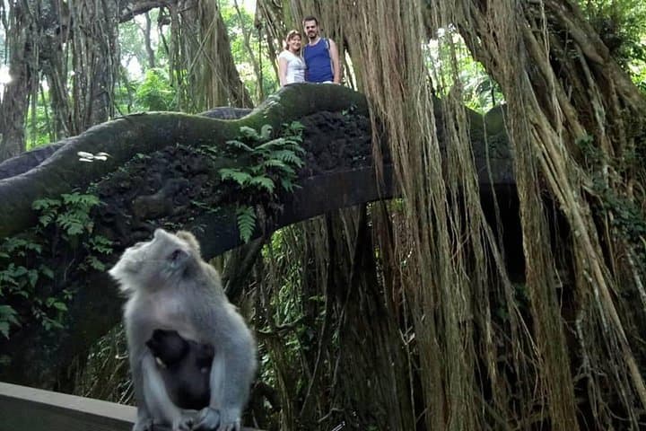 Ayung River Rafting & Ubud Highlights: Rapids, Rice Terraces and Monkey Forest photo 4
