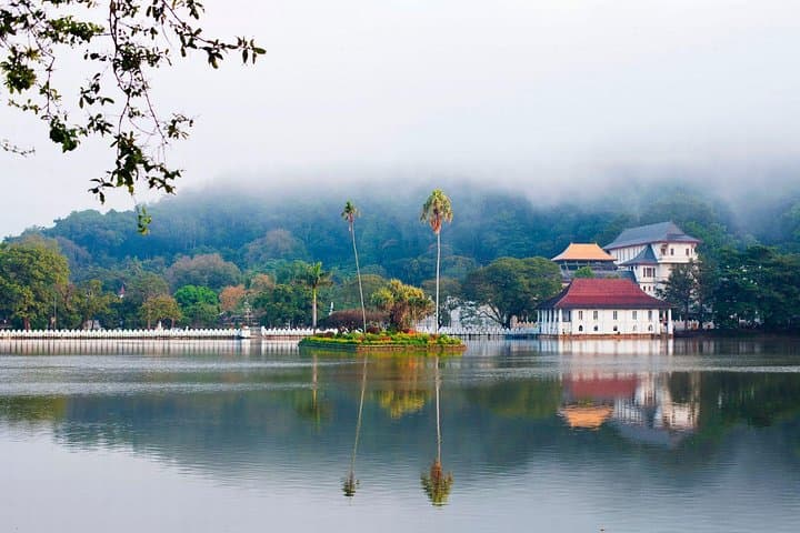 Private Kandy Day Tour from Colombo: Temple, Gardens & Cultural Highlights photo 6