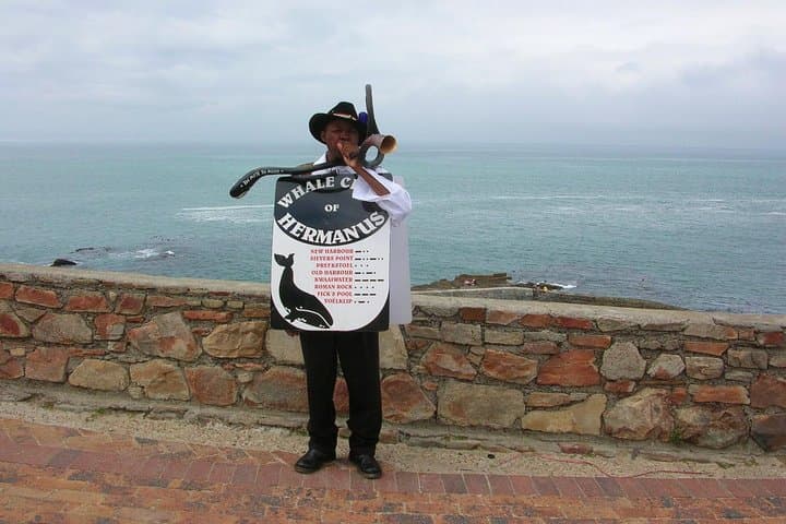 Hermanus Whale Watching Day Trip from Cape Town with Wine Tasting photo 3