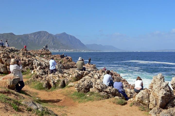 Hermanus Whale Watching Day Trip from Cape Town with Wine Tasting photo 6