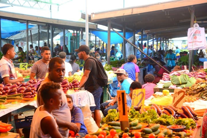 Private Suva City Tour: Personalized 2–4 Hour Cultural Walk Through Suva photo 3