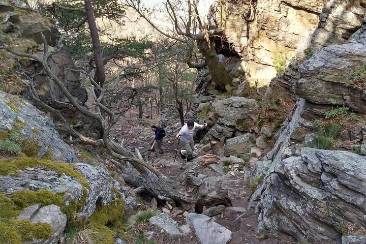 Seekopf Mountain Hike: Private Half-Day Walk in Wachau Valley from Vienna photo 6