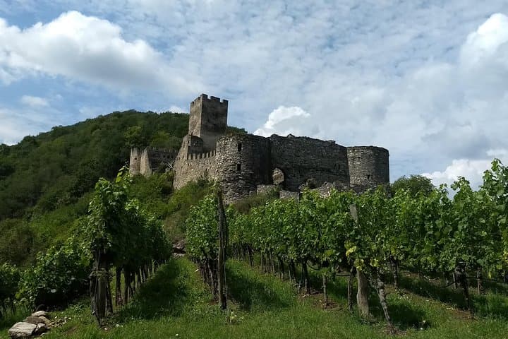 Wachau Valley Hike from Spitz: 3-Hour Beginner-Friendly Walk to Hinterhaus Ruin photo 2