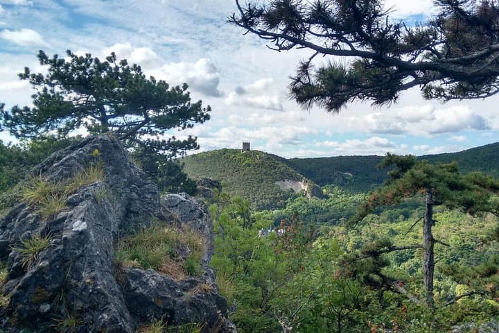Helenental Castles Hike: Private Half-Day Tour from Vienna photo 5