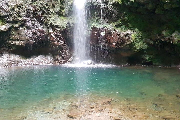 Levada Caldeirão Verde Private Guided Walk — Queimadas to the Waterfall photo 4