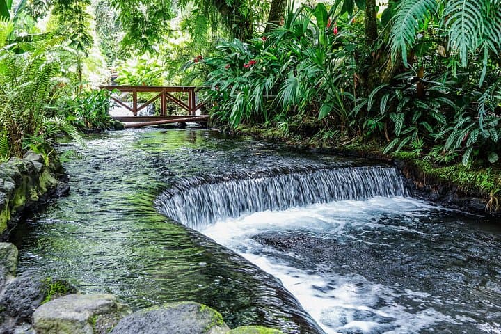 Arenal Combo: Hanging Bridges, La Fortuna Waterfall, Volcano Hike & Hot Springs photo 4