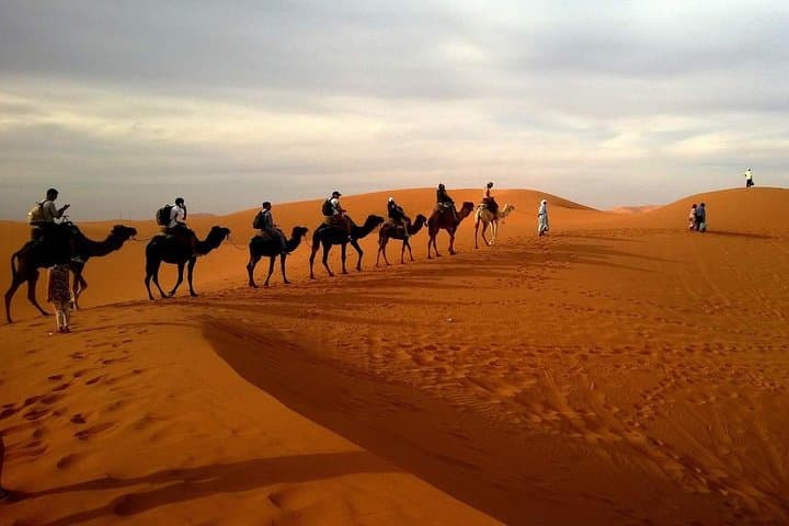 Dubai City and 4x4 Desert Safari Combo with BBQ Dinner photo 3