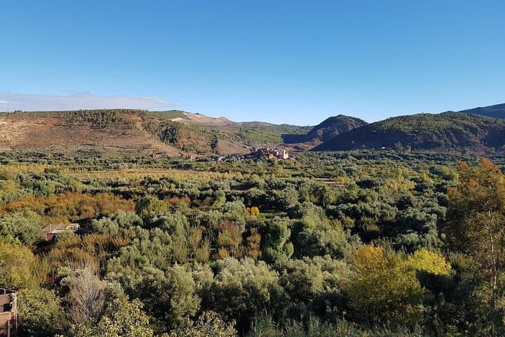 Ourika Valley Day Trip: Camel Ride, Waterfall Hike & Berber Lunch from Marrakech photo 5
