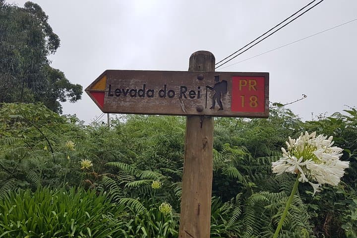 Private Guided Walk Levada do Rei — Madeira’s Laurissilva Trail photo 4