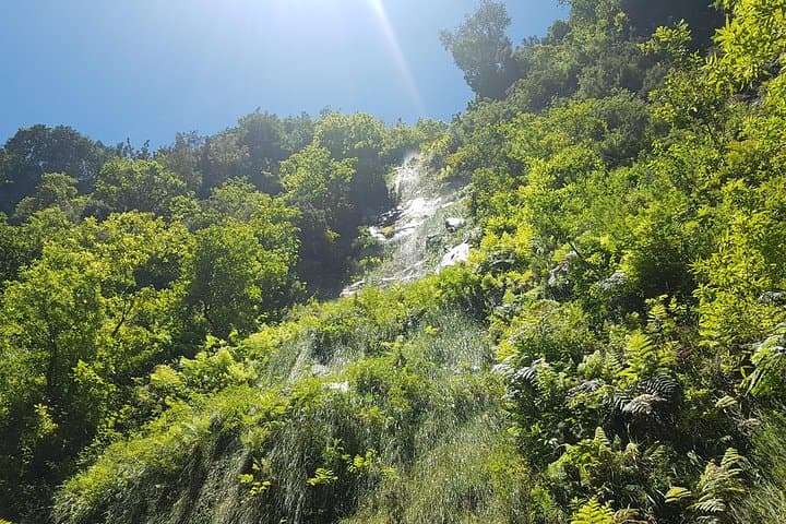 Private Guided Walk Levada do Rei — Madeira’s Laurissilva Trail photo 6