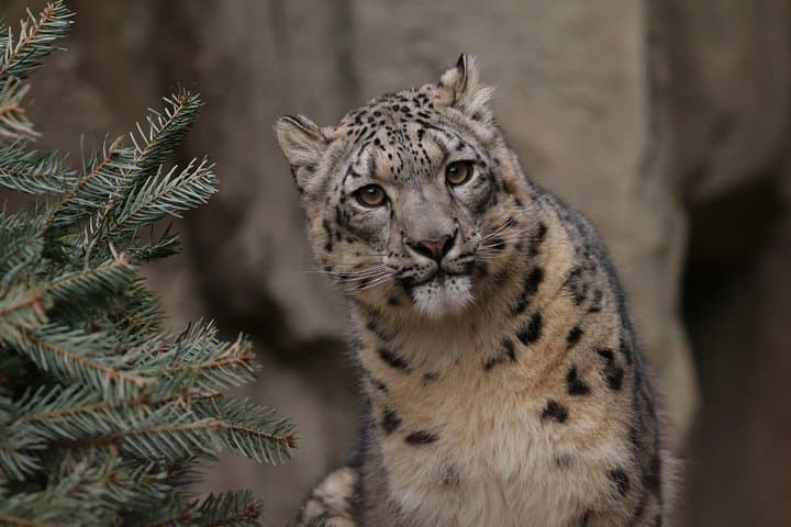 Miller Park Zoo: Family-Friendly Wildlife and Walkabout in Bloomington, IL photo 2