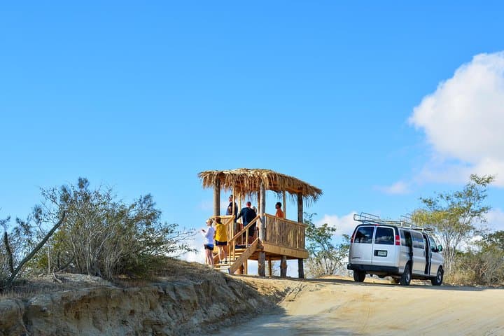 Fox Canyon Waterfall Hike — Los Cabos Oasis, Pools & Local Lunch photo 5