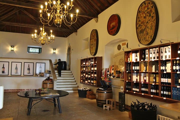 Full-Day Private Setúbal Wine Tasting Tour from Lisbon photo 3
