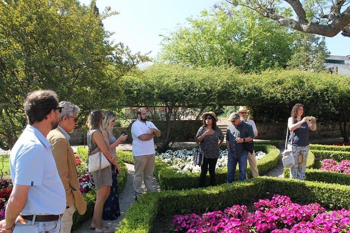 Full-Day Private Setúbal Wine Tasting Tour from Lisbon photo 2