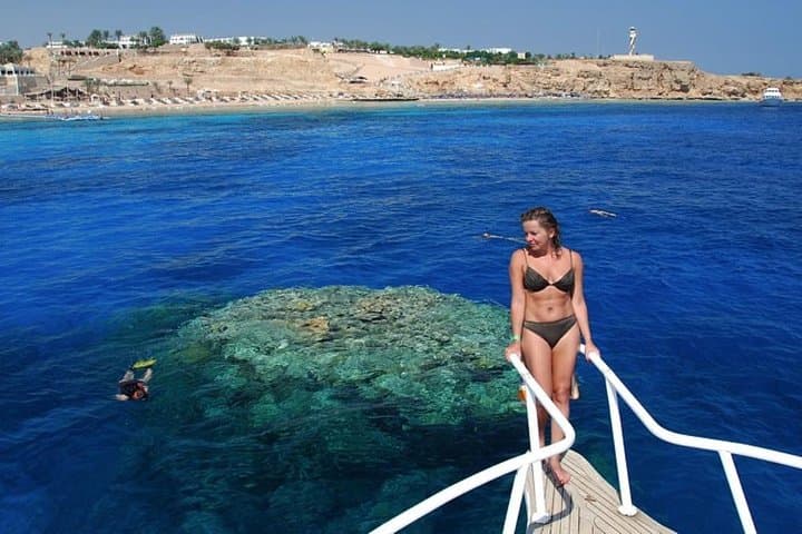 Intro Dive & Snorkel Boat Tour to Tiran and Ras Mohammed, Sharm El Sheikh photo 3