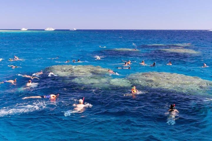Intro Dive & Snorkel Boat Tour to Tiran and Ras Mohammed, Sharm El Sheikh photo 4