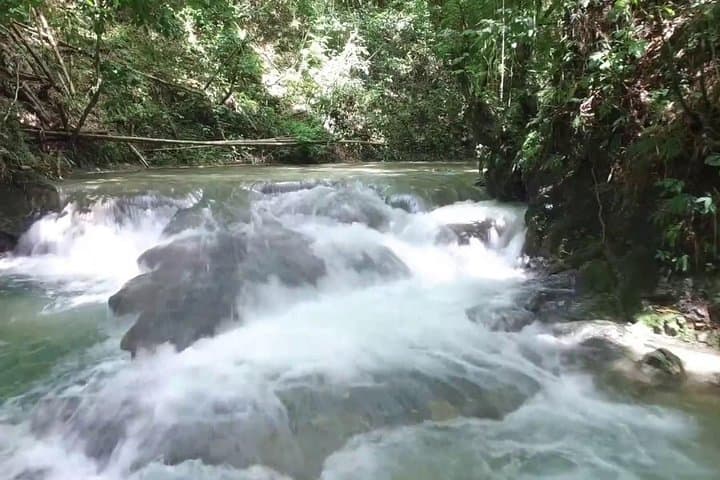 Negril Horseback Ride to Mayfield Falls — Ride, Swim & Mountain Pools photo 4
