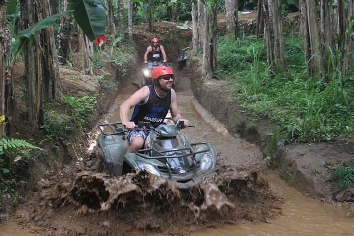 Bali ATV Ride: Jungle Swing & Tegalalang Rice Terrace Tour photo 3
