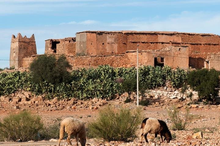 Agadir Amazigh Fortified Granaries: Half-Day Tour to Ikounka & Imchguiguiln