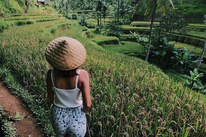 Ubud in a Day: Monkey Forest, Tegalalang Rice Terraces & Tegenungan Waterfall