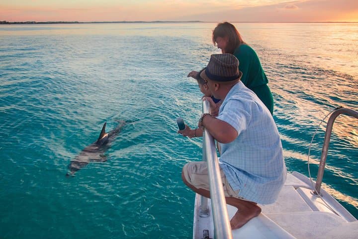 Glow Worm Sunset Cruise from Providenciales — Bioluminescent Night Cruise on the Caicos Banks photo 2