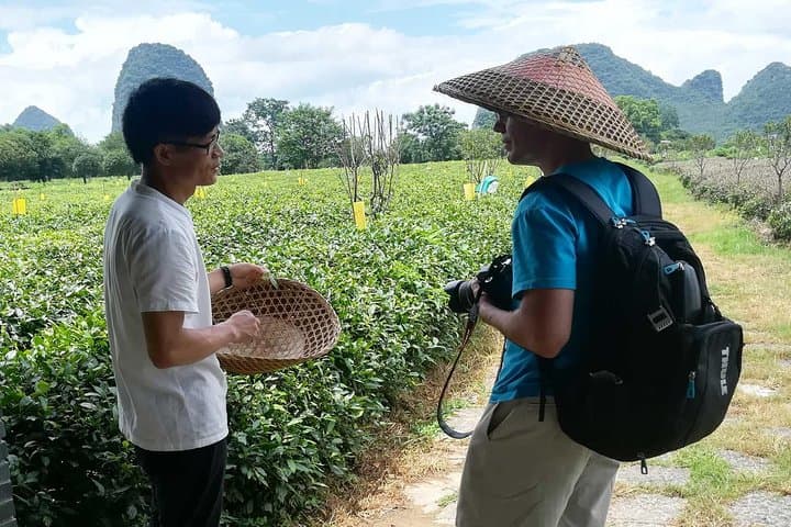 Full-Day Guilin Private Tour to Daxu Old Town and Yaoshan Tea Plantation photo 3
