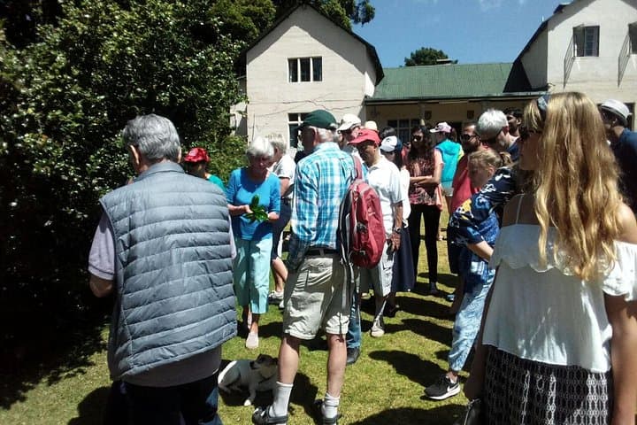 Kiambethu Tea Farm Day Tour from Nairobi: Forest Walk, Tea Tasting & Lunch photo 6