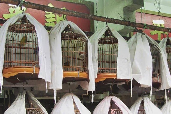 Private Hong Kong Walking Tour for First-Timers: Peak Tram, Star Ferry & Local Eats photo 5