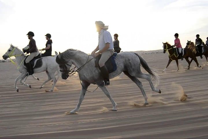 Ride the Dubai Dunes: 60-Minute Horseback Adventure with Hotel Transfers photo 4