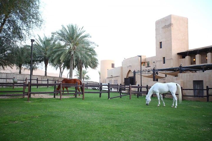 Ride the Dubai Dunes: 60-Minute Horseback Adventure with Hotel Transfers photo 2
