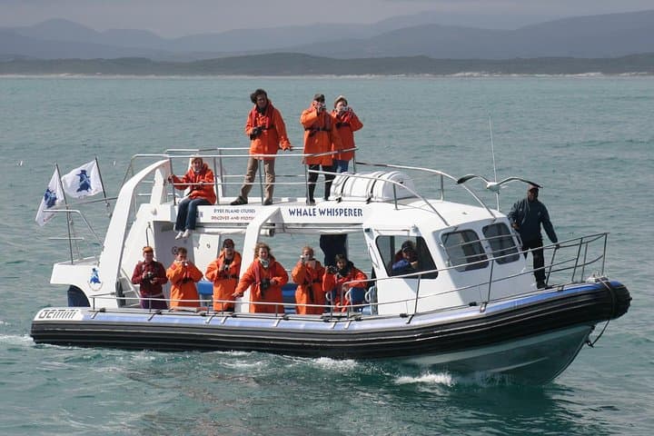 Marine Big 5 Safari From Cape Town — Great Whites, Whales & African Penguins photo 2