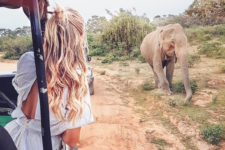 Udawalawe Safari from Kalutara: Guaranteed Elephant Encounters and Full-Day Jeep Excursion photo 2